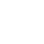 Home - Big Cheese Studio